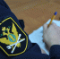 Предъявите исполнительный документ в электронном виде - УФССП России