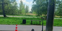 В Наволоках сбитая подростком-электросамокатчиком пенсионерка добилась выплаты в 270 тысяч рублей - Сетевое издание Ивановские новости