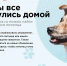 ПОЛЕЗНАЯ ИНФОРМАЦИЯ ДЛЯ ВЛАДЕЛЬЦЕВ ДОМАШНИХ ЖИВОТНЫХ - Район Бирюлево Восточное