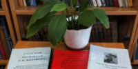 «Дон Кихотом я родился…» книжная выставка - МБС г. Твери