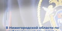 В Нижегородской области по информации из соцмедиа о нападеннии собак на несовершеннолених возбуждено уголовное дело - СУ СК РФ