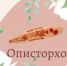 Опасность под чешуей:  как избежать описторхоза и других заболеваний при употреблении рыбы - Шолоховский район