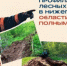 Профилактика лесных пожаров в Нижегородской области идёт полным ходом - Город Бор