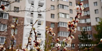 Шуваев: 292 МКД капитально отремонтируем в 2026 году в Белгородской области - Сетевое издание Победа 31