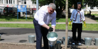 Советскую улицу в Туле планируют озеленять в сторону улицы Сойфера - Молодой коммунар