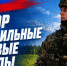 В Тамбовской области формируются мобильные группы для борьбы с БПЛА - Тамбовская жизнь