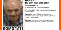 В Петербурге пропал 82-летний пенсионер - Spbdnevnik.ru