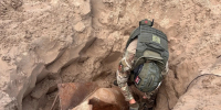 Видео взрыва 250-килограммовой бомбы в Волгограде опубликовало МЧС - Комсомольская Правда