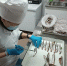 ГБУ «Станция по борьбе с болезнями животных № 8» следит за безопасностью поступаемой рыбы и морепродуктов. - Агентство ветеринарии и племенного животноводства