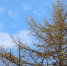 В Магадане +9, +11°C, малая облачность - Газета Магаданская правда
