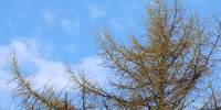В Магадане +9, +11°C, малая облачность - Газета Магаданская правда