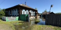 Шошино держит удар - Власть Труда