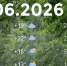 Bazaart_246EE0DC-5B2E-4E2B-8B68-FBF491FC80B6 - ЗА Новомосковск