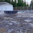 В Городском парке Балакова «спишут» сцену - BalReport.Ru
