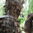 Учения - Bankfax.Ru