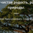 БЕРЕГИТЕ ПРИРОДУ, ОСТАВЬТЕ ЕЕ ЧИСТОЙ И БЕЗОПАСНОЙ ДЛЯ БУДУЩЕГО ПОКОЛЕНИЯ!. - Емельяновский район