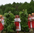 7 июня пройдет национальный мордовский праздник «Балтай» - Министерство культуры
