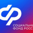 Свыше 560 многодетным семьям региона с превышением дохода пересмотрело Отделение СФР выплату единого пособия - Доволенский район