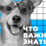 Тематическое фото Правительство Магаданской области - MagadanMedia.Ru