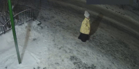 В Великом Новгороде женщина предстанет перед судом за оставление ребёнка в опасности - УМВД Новгородской области