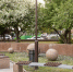 Фото Дениса Моргунова - Tumentoday.Ru