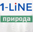 В Кузбассе утвердили список опасных растений-захватчиков - 1-LINE