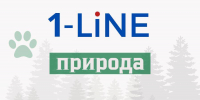 В Кузбассе утвердили список опасных растений-захватчиков - 1-LINE