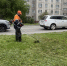 Городские службы проводят летние работы по уборке улиц города и покосу травы - Администрация г. Барнаул