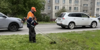 Городские службы проводят летние работы по уборке улиц города и покосу травы - Администрация г. Барнаул