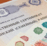 От детского сада до университета. На что жители региона тратят маткапитал? - 168.Ru