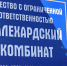 Фото: Василий Петров/«Ямал-Медиа» - Ямал-Медиа