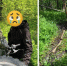 На Зюраткуле автохамы изуродовали экотропу - Южноуральская панорама