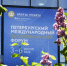 Как распорядиться миллионом рублей - Томская интернет-газета