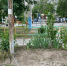 img - ЛДПР
