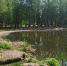 Благоустройства в рамках федеральной программы «Формирование комфортной городской среды» - Газета Ферзиковские вести