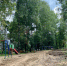 В Орле расторгли контракты на ремонт дворов - OrelGrad.Ru