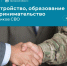 На Госуслугах доступен новый цифровой сервис «Карьера в Орловской области после СВО» - Правительство Орловской области