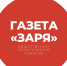 Суровикинцы голосуют за будущее? - Газета Заря
