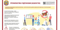 О мерах профилактики бешенства. - Красногвардейский район