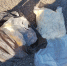 В Хакасии перехвачен наркокурьер с 2 кг мефедрона - Республиканская телевизионная сеть