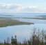 В Лапландском заповеднике - цветение - Мурманский вестник
