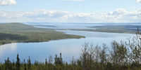 В Лапландском заповеднике - цветение - Мурманский вестник