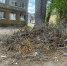 img - ЛДПР