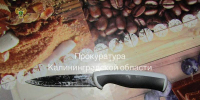 В Немане жена резала мужа чёрным ножом - ИА Русский Запад