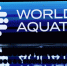 World Aquatics предложила России провести чемпионаты мира и Европы - M24.Ru