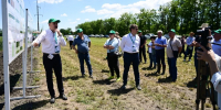 Делегация из Дагестана приняла участие в научно-практическом семинаре Национального центра зерна - РИА Дагестан