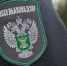 Объем экспорта томского рапсового жмыха - Томская интернет-газета