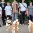 Мценские авиамоделисты обошли на областных соревнованиях всех конкурентов - Орловский Вестник