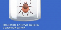 В Башкирии клещи покусали уже более 4 тысяч человек - Гафурийский район