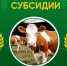 5a8dIn3B8E9P5oilg6IhPM83tsbplLtstah6o5N5q1Z0lU6aWcH1FARdInrBWuuKjQWNIDMidWaFqUUmRoiRF8ki (1).jpg - Безенчукский район